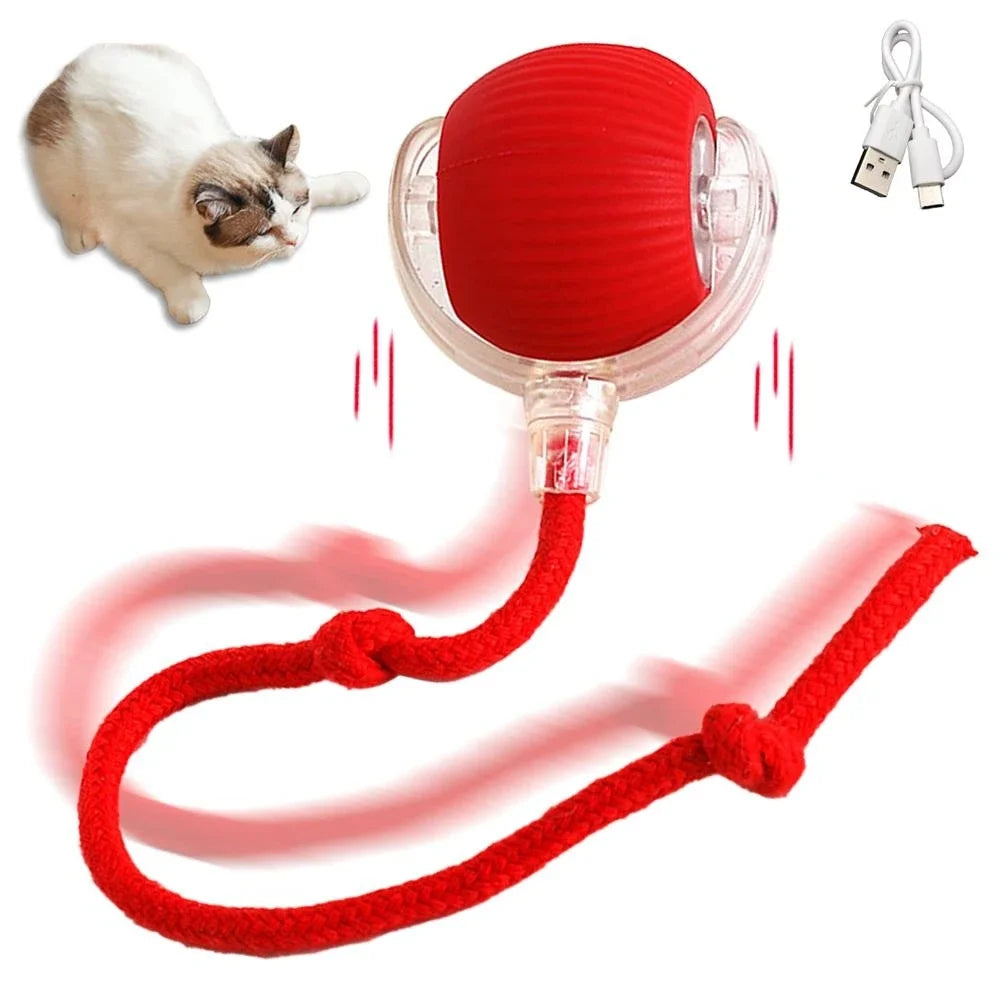 Interactive Automatic Rolling Ball Ball Toys - Katokitten