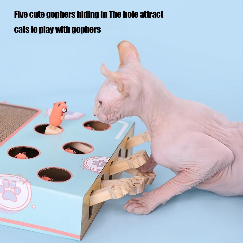 Interactive Educational 3 in 1 Funny Cat Stick With Scratcher Toy - Katokitten