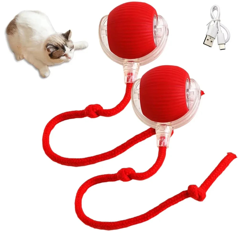 Interactive Automatic Rolling Ball Ball Toys - Katokitten