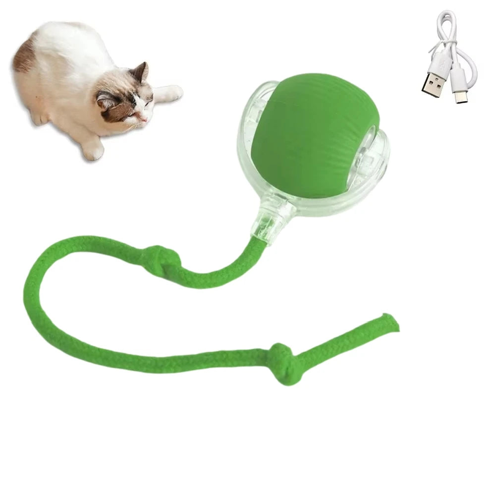 Interactive Automatic Rolling Ball Ball Toys - Katokitten