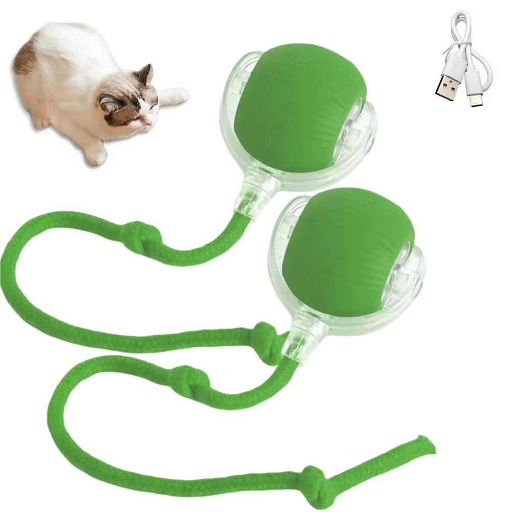 Interactive Automatic Rolling Ball Ball Toys - Katokitten
