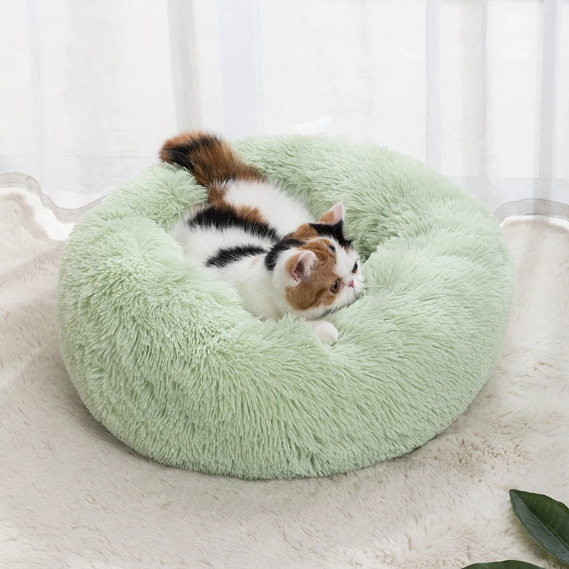 Nest Round Soft Shaggy Mat for Kittens - Katokitten