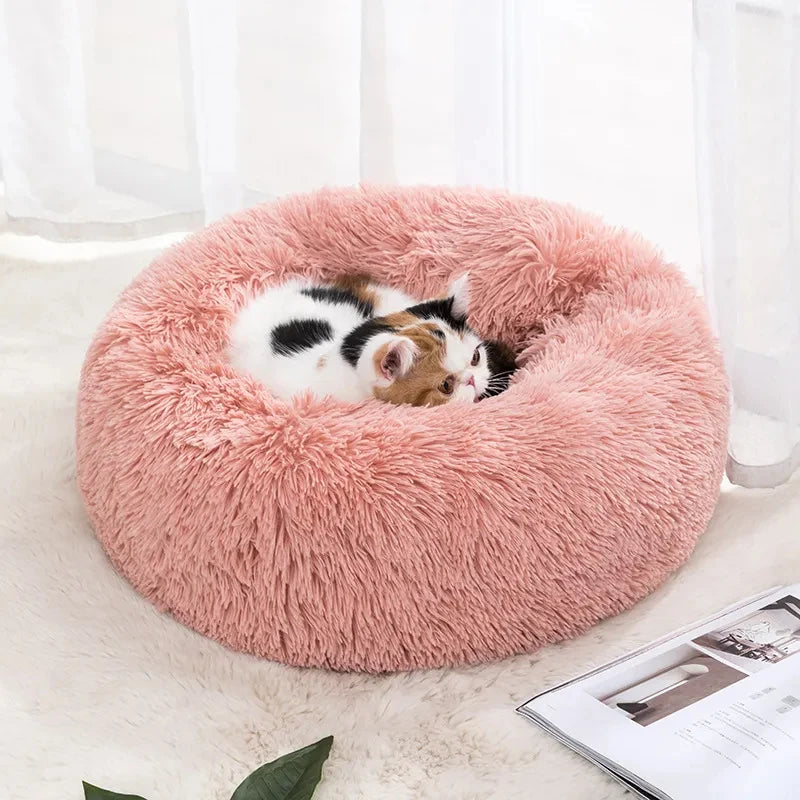 Nest Round Soft Shaggy Mat for Kittens - Katokitten
