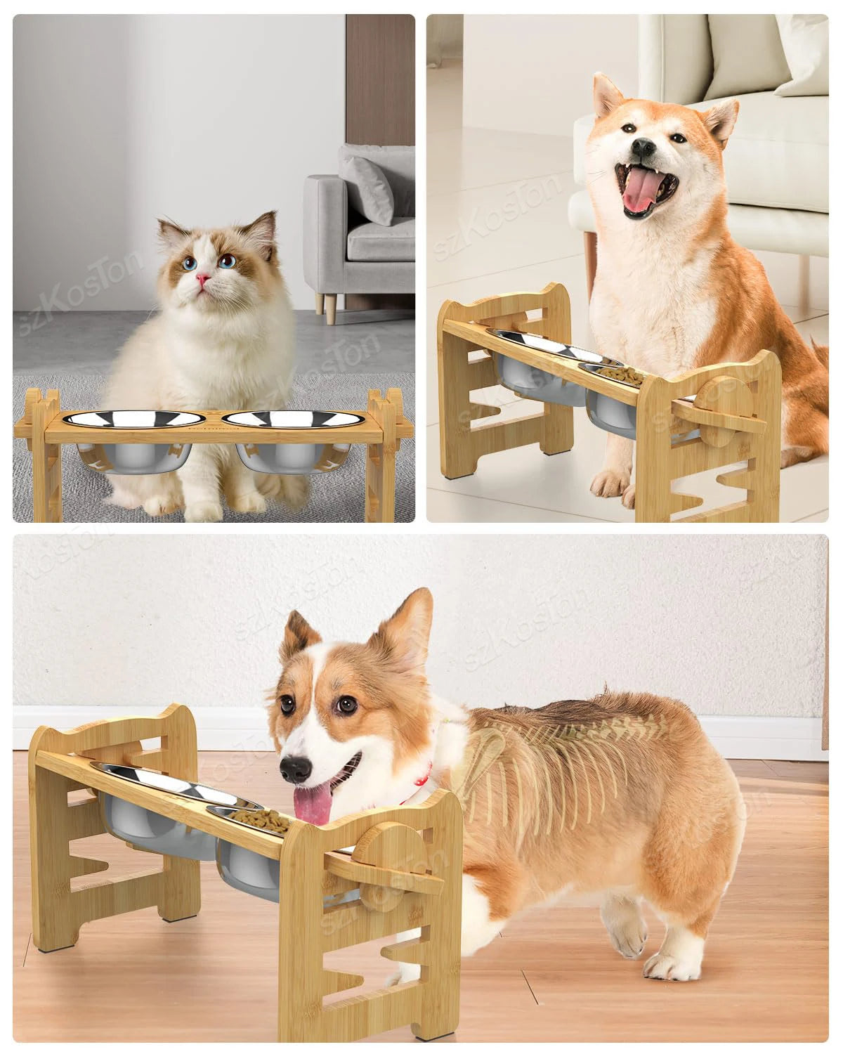 Feeder Stand with Stainless Steel Food Bowls - Katokitten