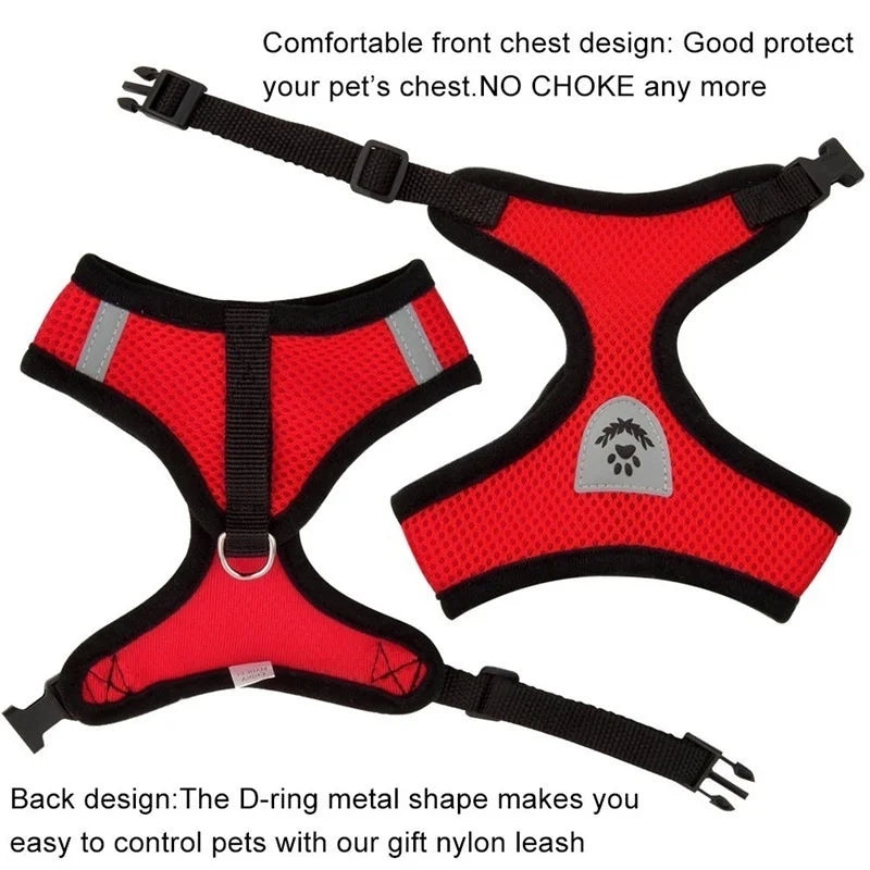 Pet Cat Harness with Lead Leash Adjustable - Katokitten