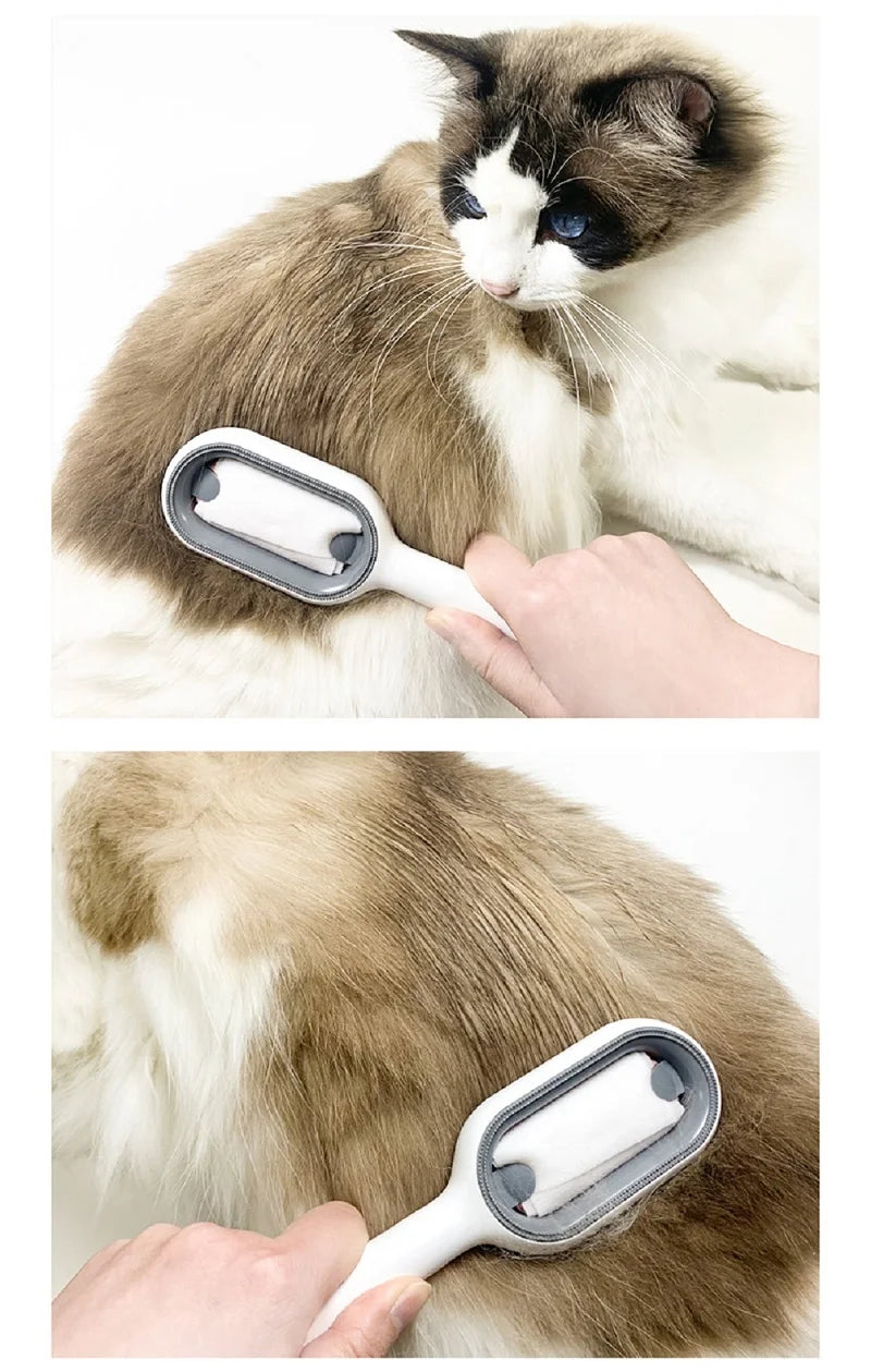 Pet Cat General Supplies With Water Tank - Katokitten