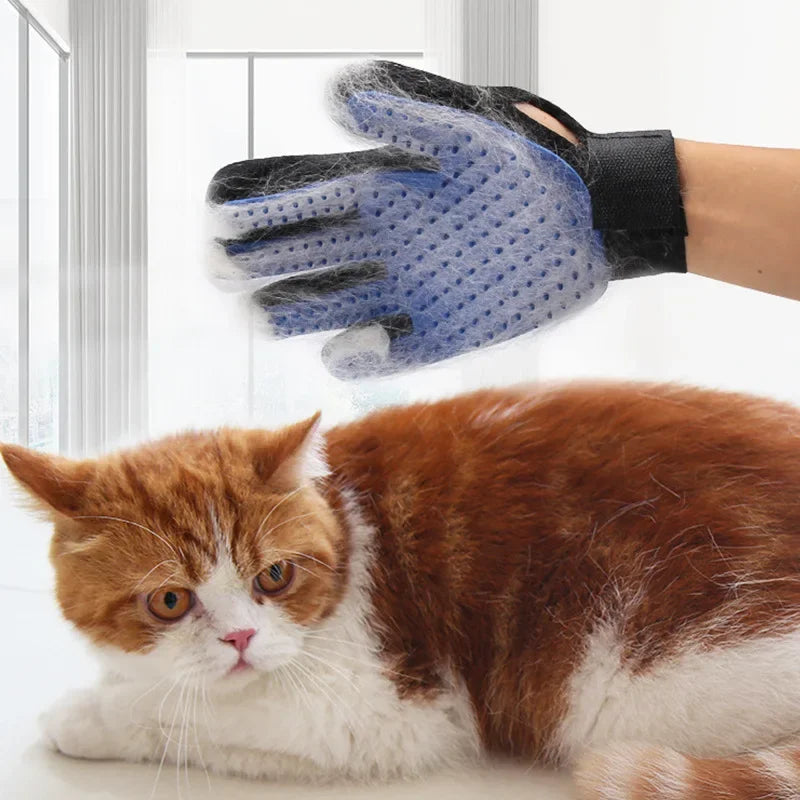 Pet Cat Silicone Gloves Hair Removal - Katokitten