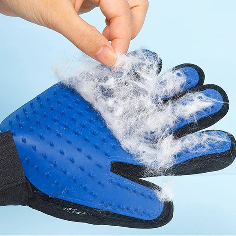 Pet Cat Silicone Gloves Hair Removal - Katokitten