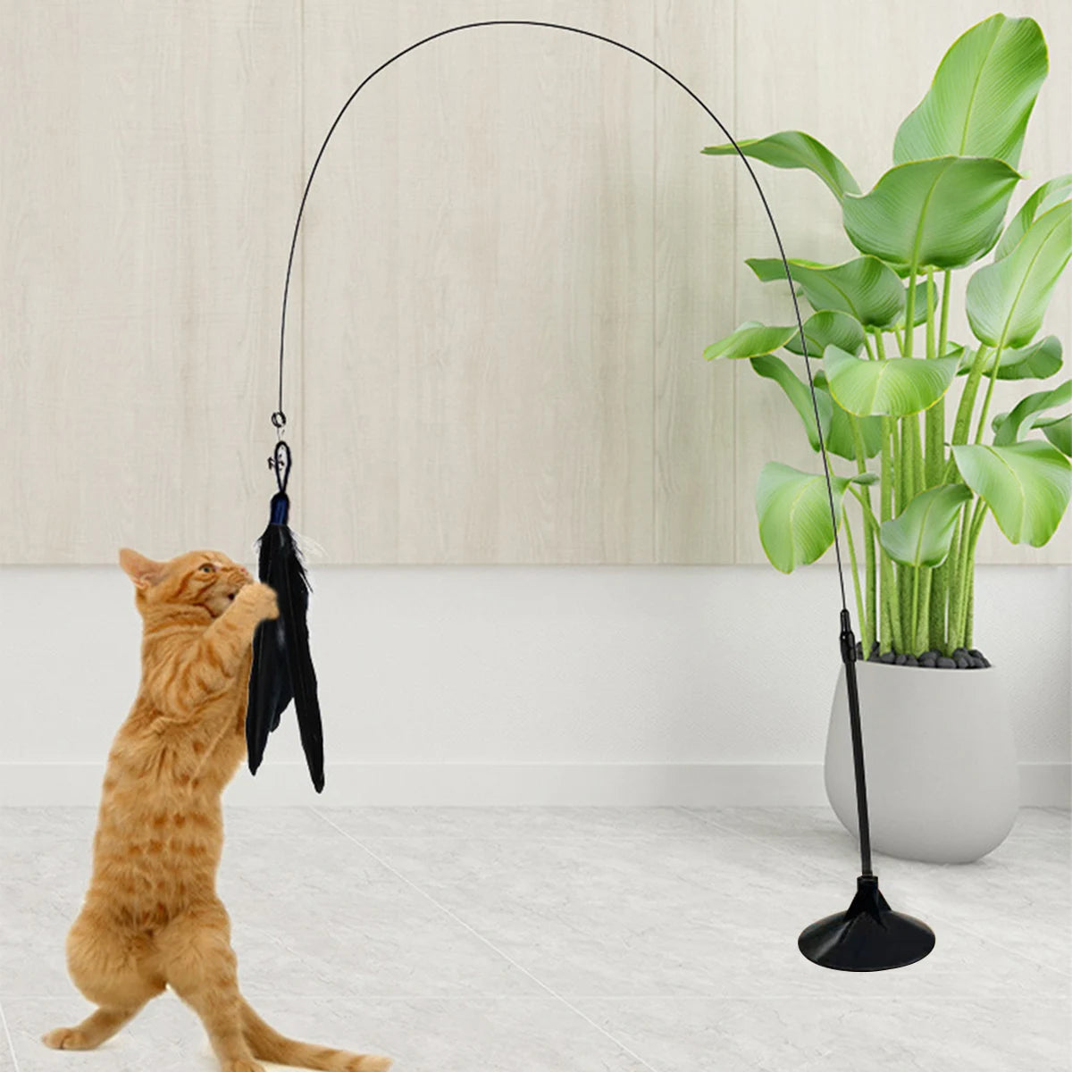 Interactive Suction Cup Cat Toy With Removable Feathers - Katokitten