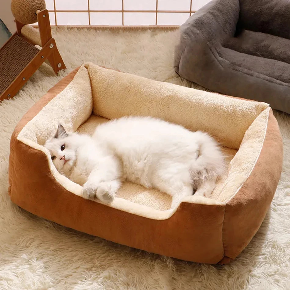 Pet Cats Bed Kitten Goods Accessories - Katokitten