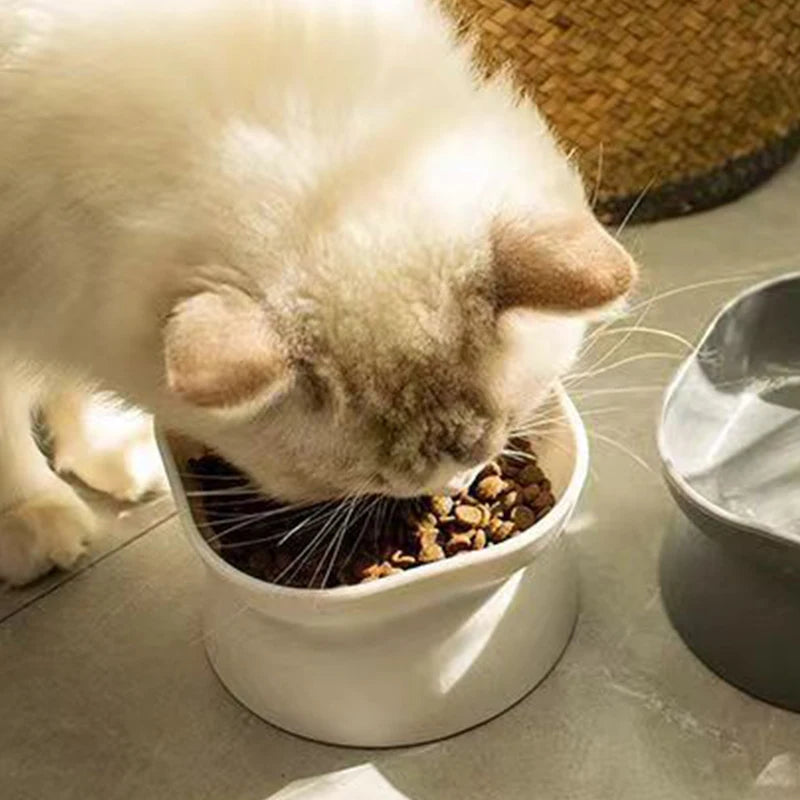 Dual-purpose Cat Food Bowl - Katokitten