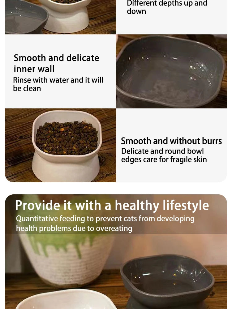 Dual-purpose Cat Food Bowl - Katokitten