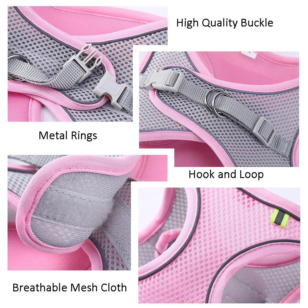 Adjustable Pet Cat Harness Leash Set - Katokitten