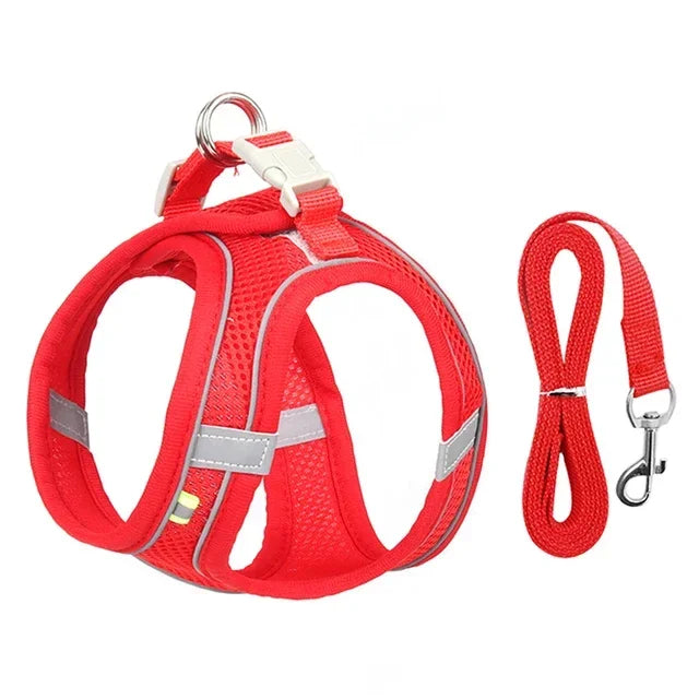 Adjustable Pet Cat Harness Leash Set - Katokitten