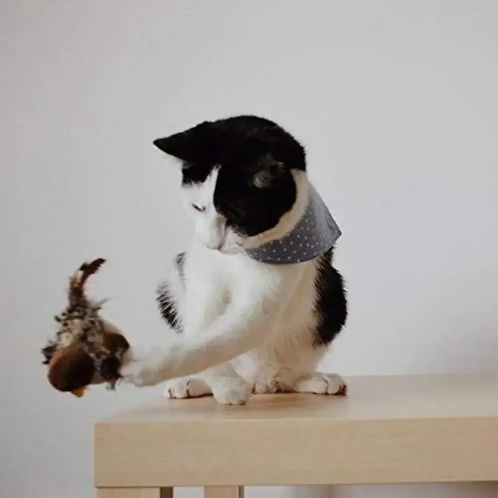 Electric Squeaky Simulation Bird Plush Cats Toy - Katokitten