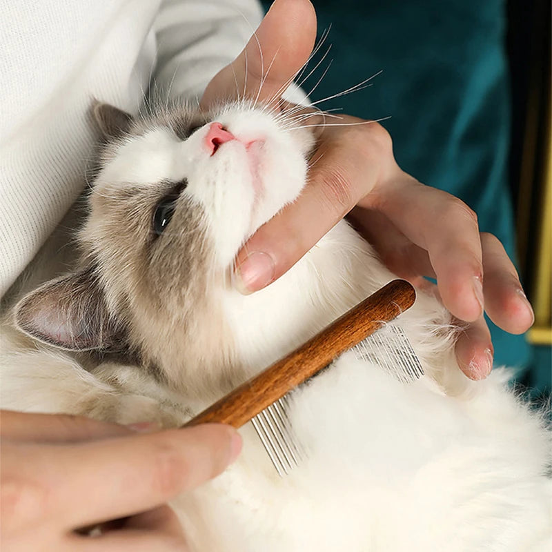 Pet Cat Stainless Steel Hair Remover Comb - Katokitten