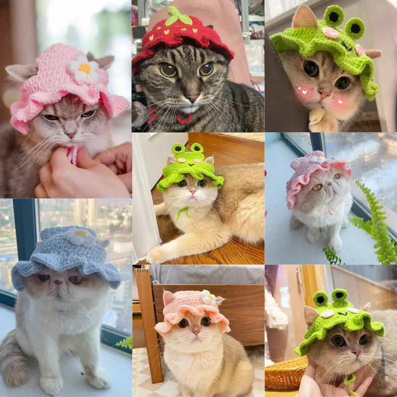 Elastic Cute Refined Pet Hat - Katokitten