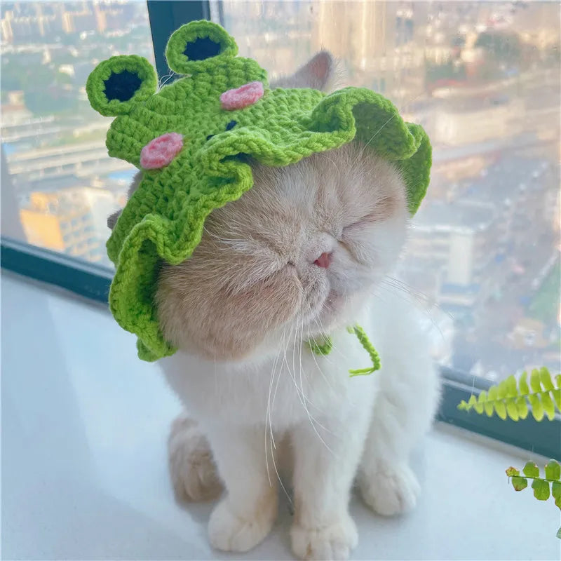 Elastic Cute Refined Pet Hat - Katokitten