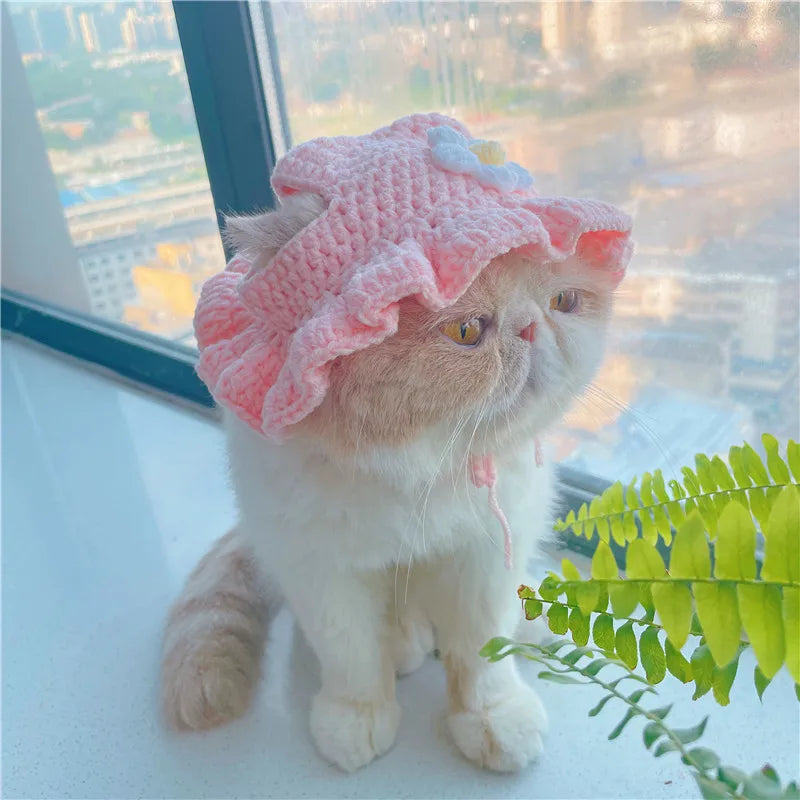 Elastic Cute Refined Pet Hat - Katokitten