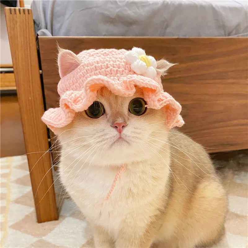 Elastic Cute Refined Pet Hat - Katokitten