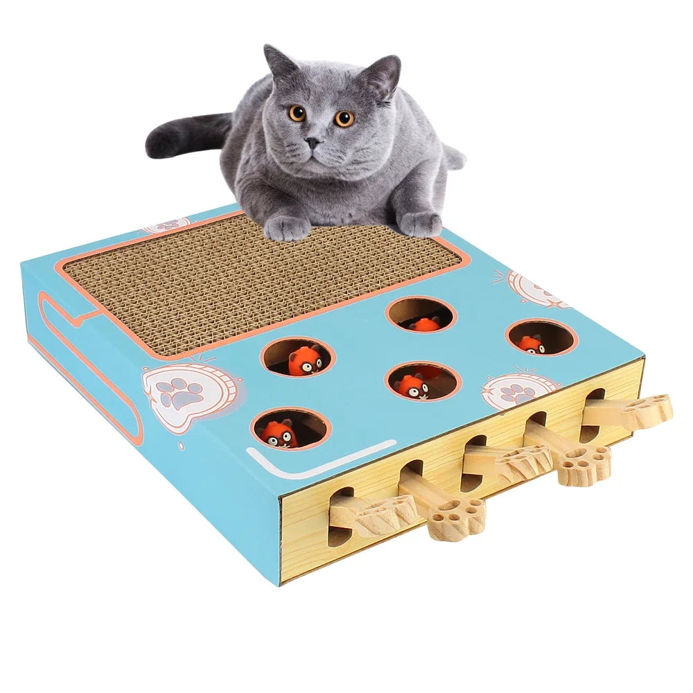Interactive Educational 3 in 1 Funny Cat Stick With Scratcher Toy - Katokitten