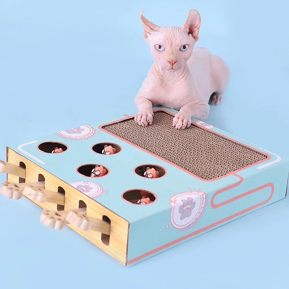 Interactive Educational 3 in 1 Funny Cat Stick With Scratcher Toy - Katokitten