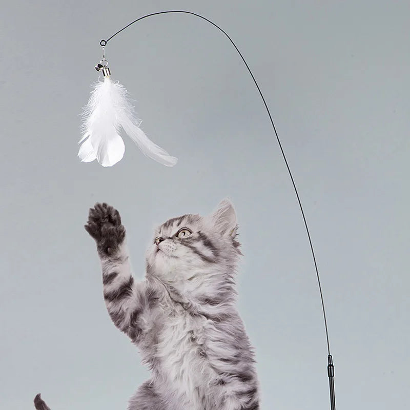 Interactive Super Suction Cup Detachable Kitten Cat Toys - Katokitten