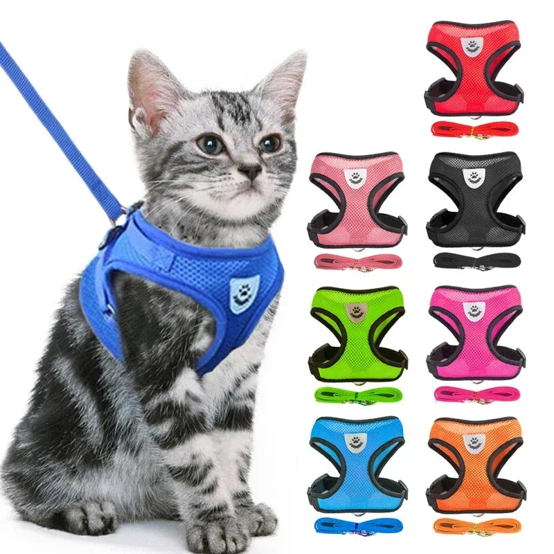 Pet Cat Harness Vest Walking Lead Leash - Katokitten