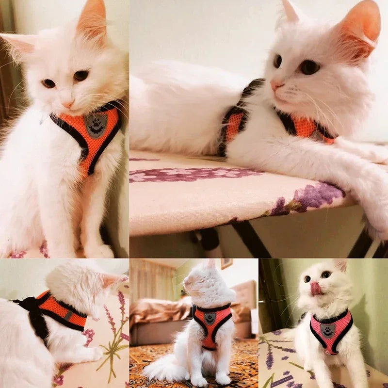 Pet Cat Harness Vest Walking Lead Leash - Katokitten