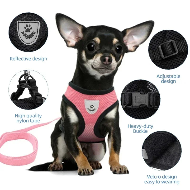 Pet Cat Harness Vest Walking Lead Leash - Katokitten