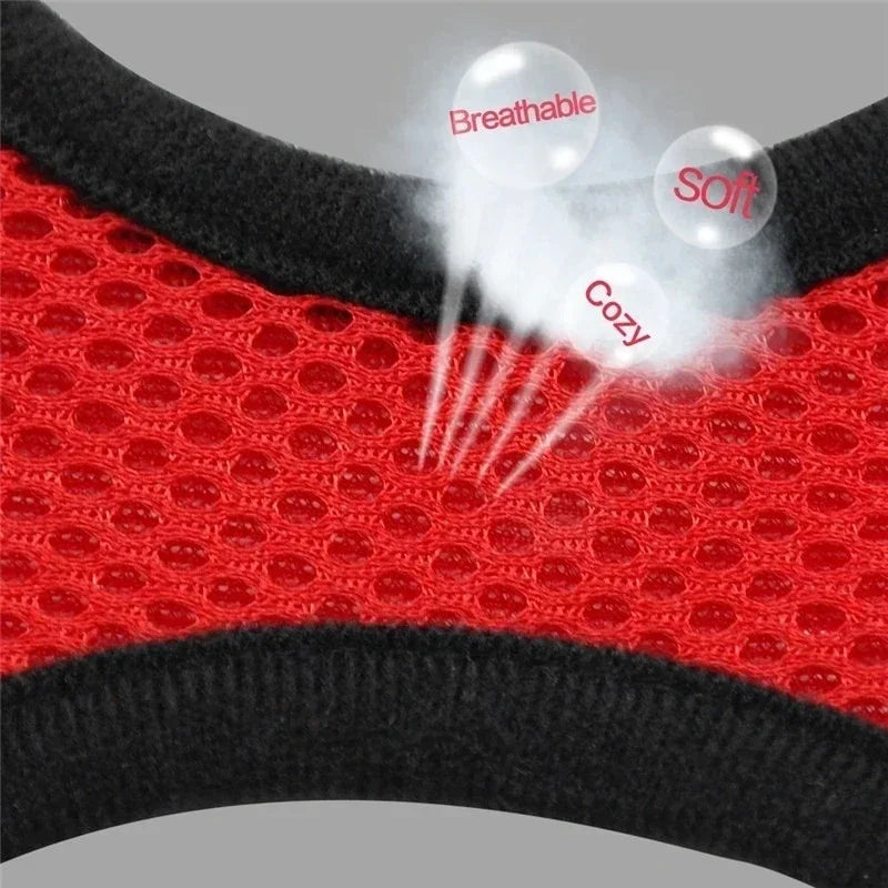 Pet Cat Harness Vest Walking Lead Leash - Katokitten
