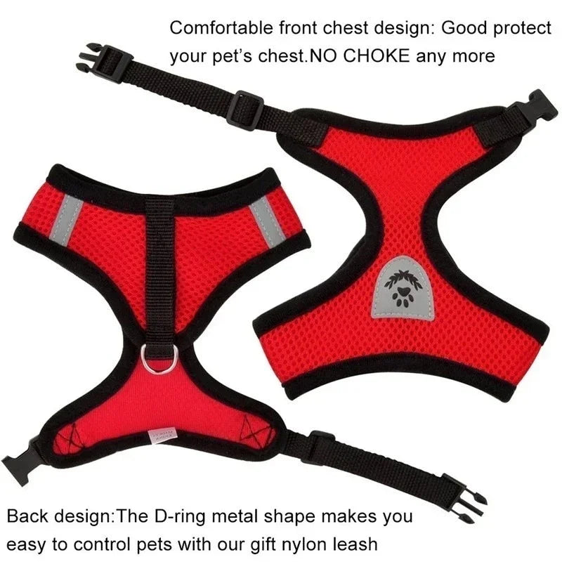 Pet Cat Harness Vest Walking Lead Leash - Katokitten