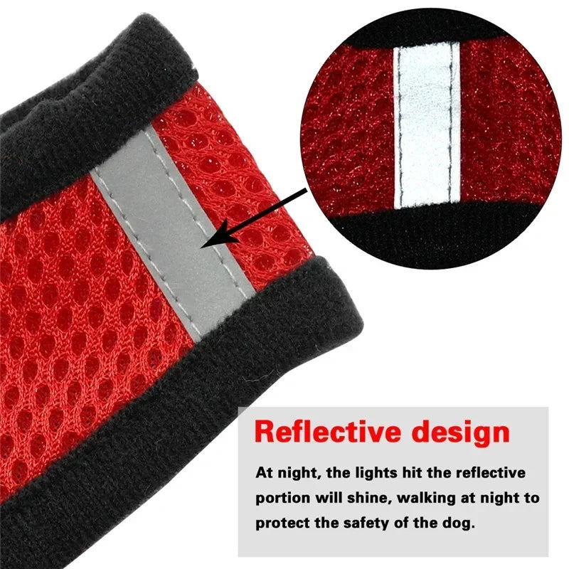 Pet Cat Harness Vest Walking Lead Leash - Katokitten
