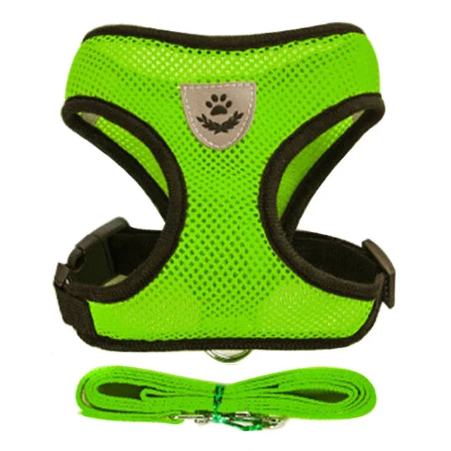 Pet Cat Harness Vest Walking Lead Leash - Katokitten