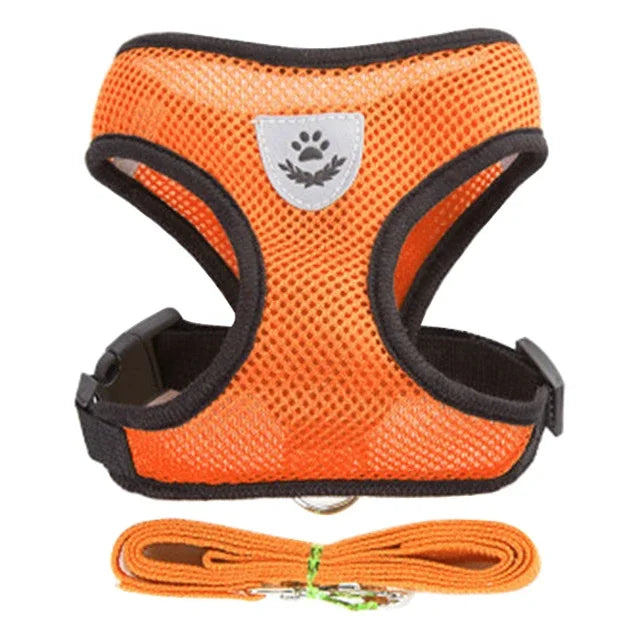 Pet Cat Harness Vest Walking Lead Leash - Katokitten