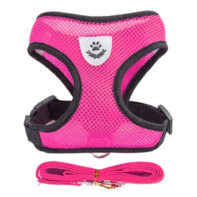 Pet Cat Harness Vest Walking Lead Leash - Katokitten