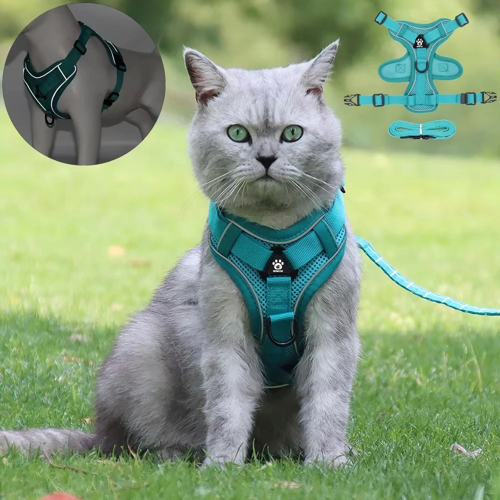 Pet Cat Harness and Leash Set Escape Proof - Katokitten