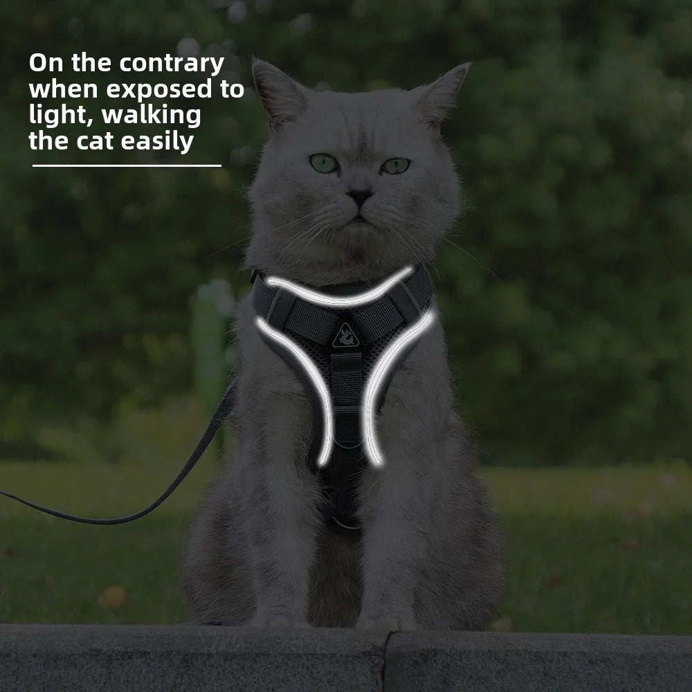 Pet Cat Harness and Leash Set Escape Proof - Katokitten