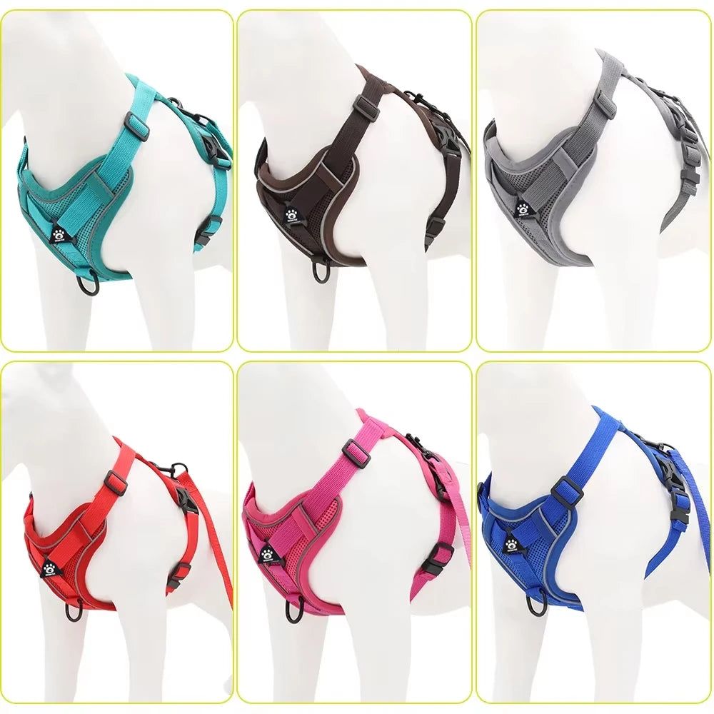 Pet Cat Harness and Leash Set Escape Proof - Katokitten