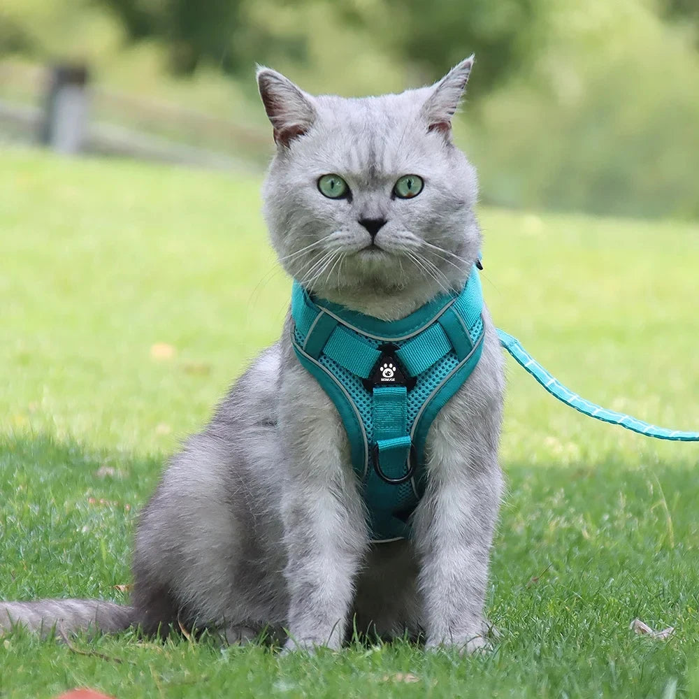 Pet Cat Harness and Leash Set Escape Proof - Katokitten