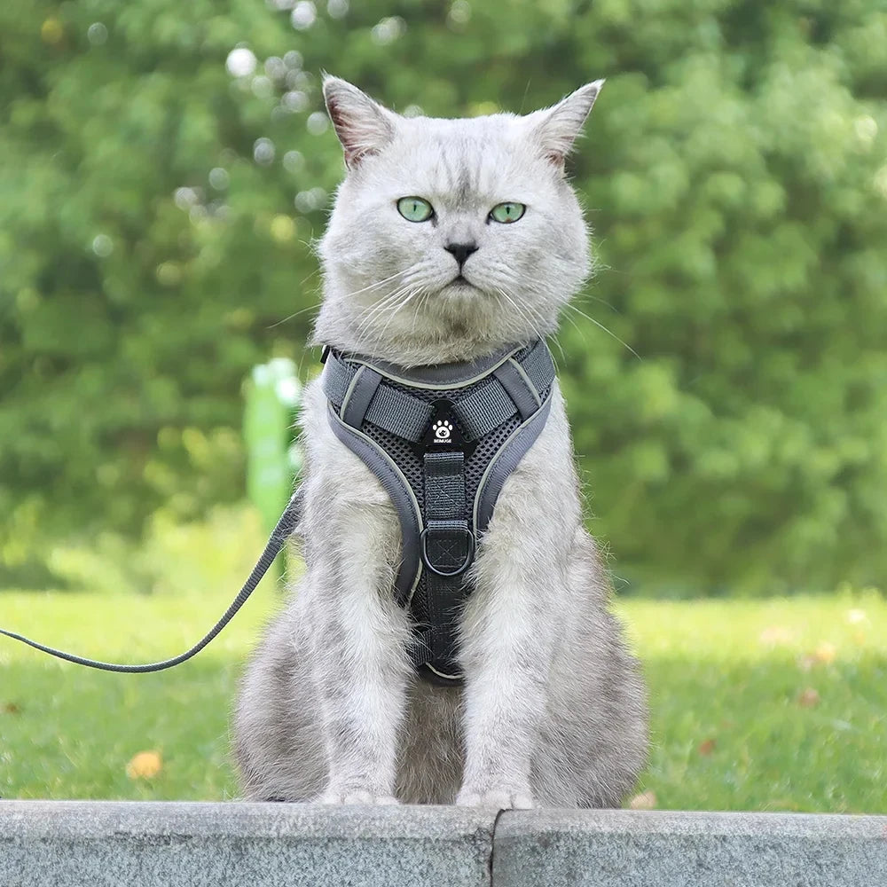 Pet Cat Harness and Leash Set Escape Proof - Katokitten