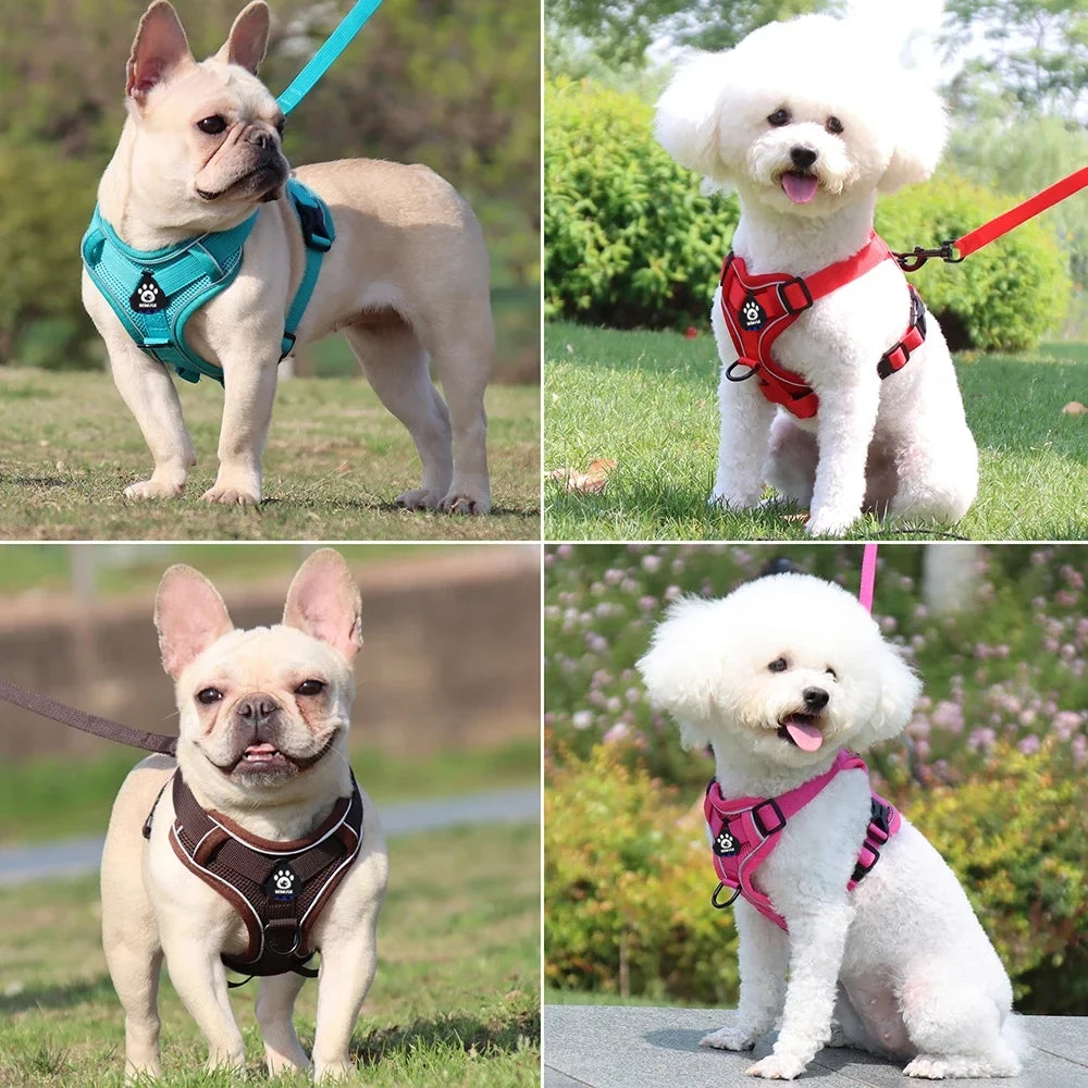 Pet Cat Harness and Leash Set Escape Proof - Katokitten