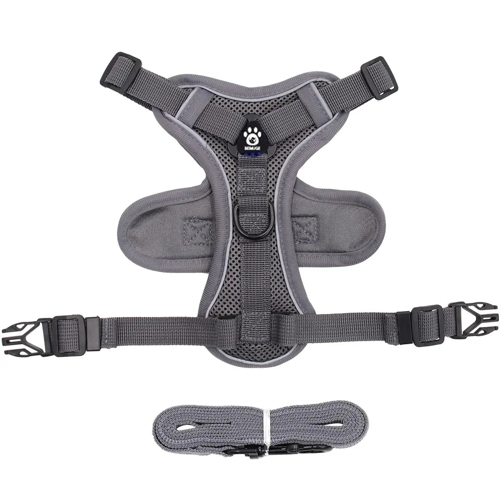 Pet Cat Harness and Leash Set Escape Proof - Katokitten