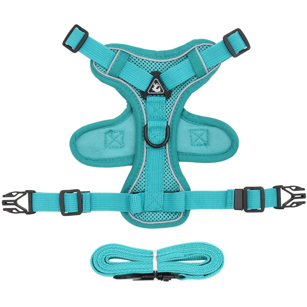 Pet Cat Harness and Leash Set Escape Proof - Katokitten