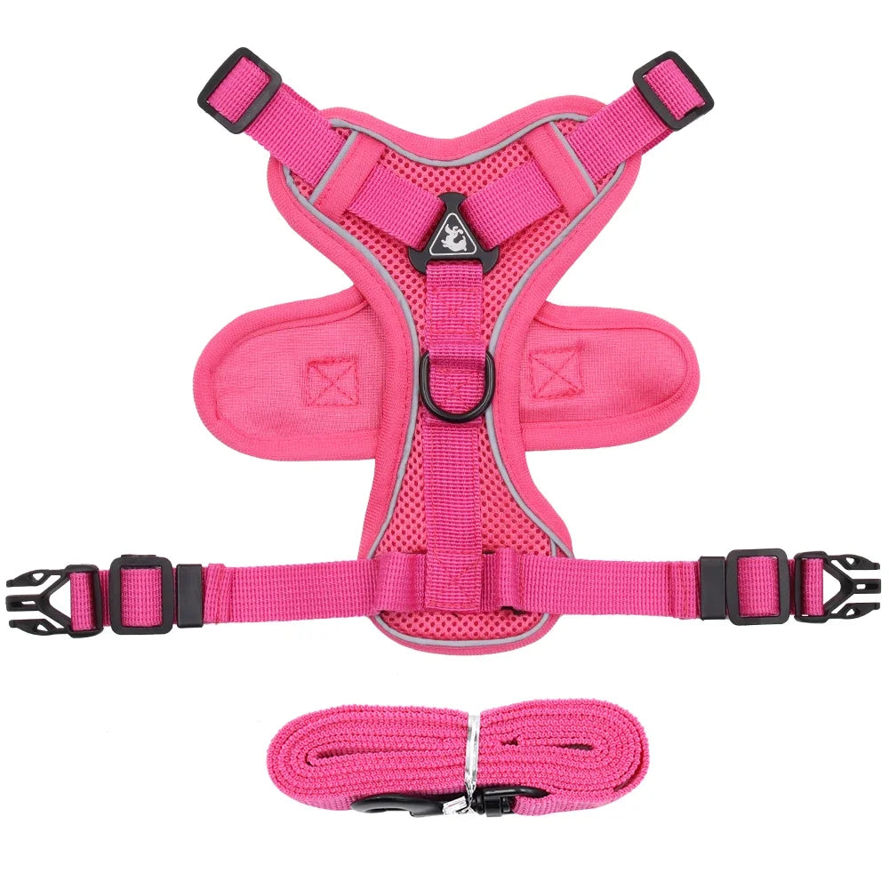 Pet Cat Harness and Leash Set Escape Proof - Katokitten