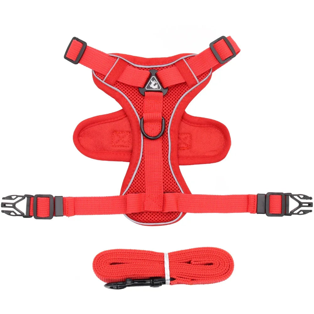 Pet Cat Harness and Leash Set Escape Proof - Katokitten