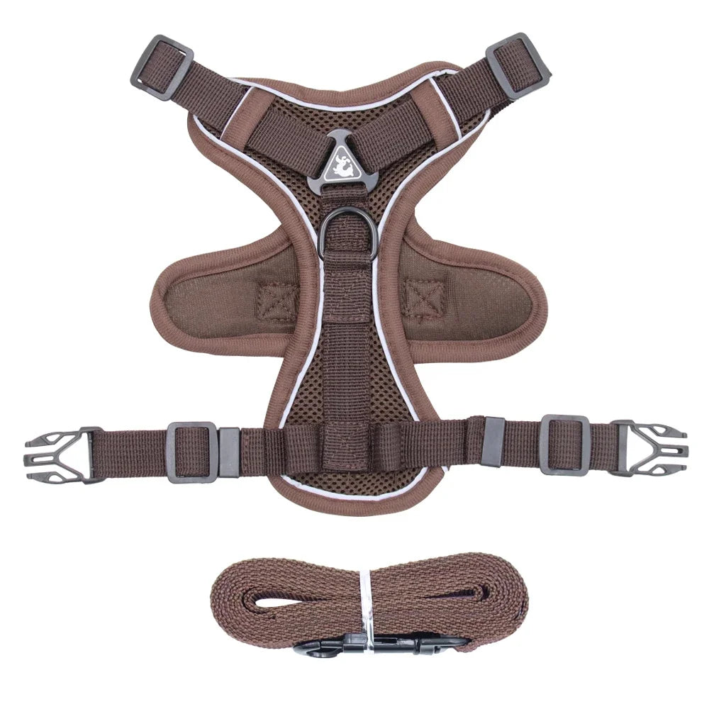 Pet Cat Harness and Leash Set Escape Proof - Katokitten