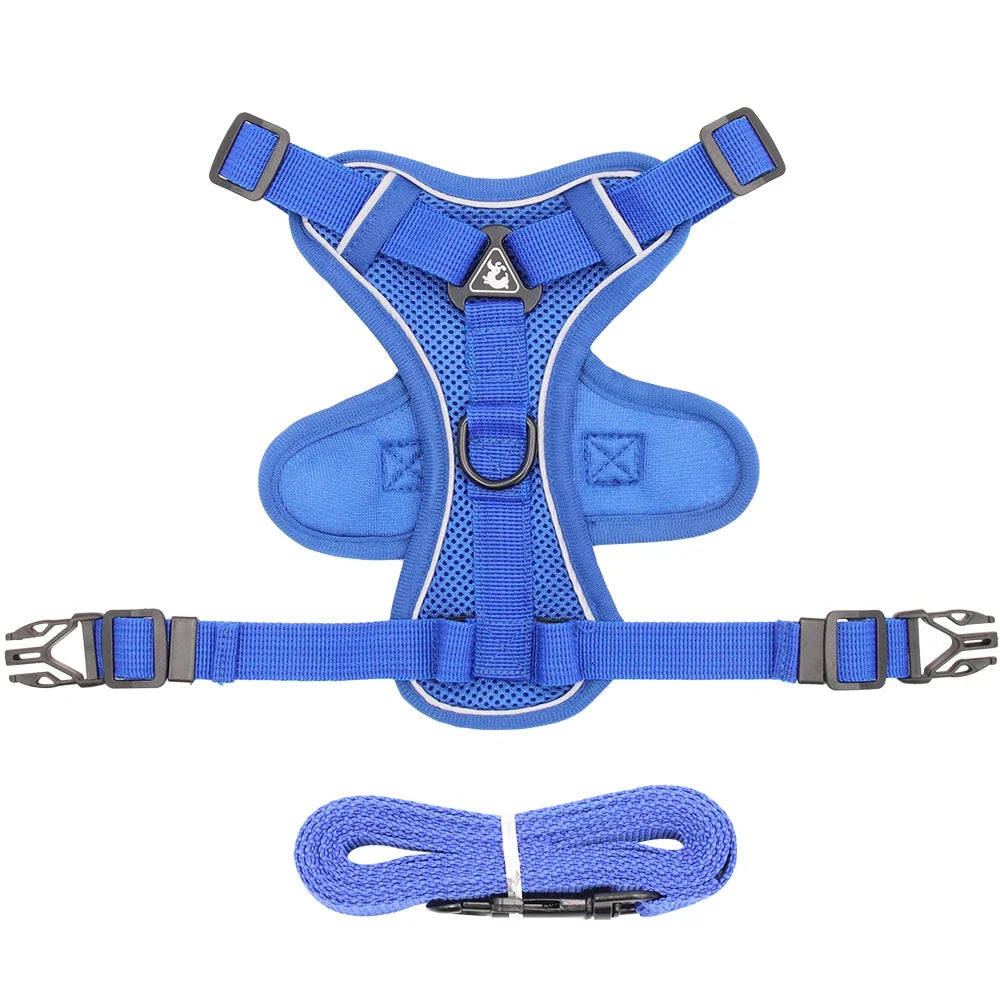 Pet Cat Harness and Leash Set Escape Proof - Katokitten