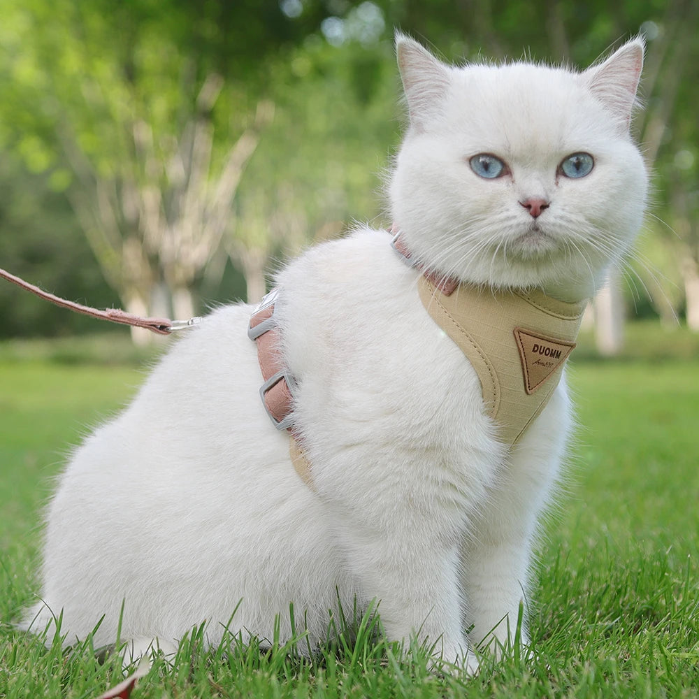 Breathable Nylon Mesh Cat Harness Leash Set - Katokitten