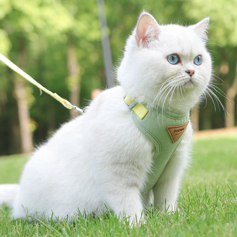 Breathable Nylon Mesh Cat Harness Leash Set - Katokitten